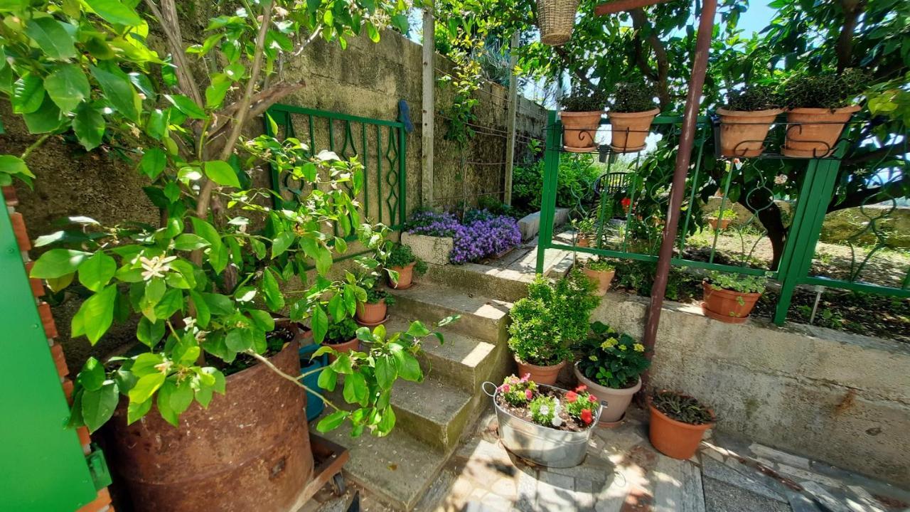 Sečovlje Apartma Bajc מראה חיצוני תמונה